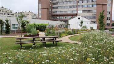 Bloemrijk grasland